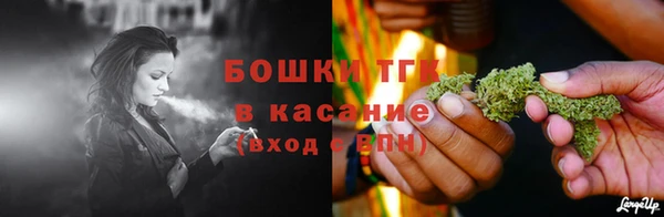 ПСИЛОЦИБИНОВЫЕ ГРИБЫ Михайловка