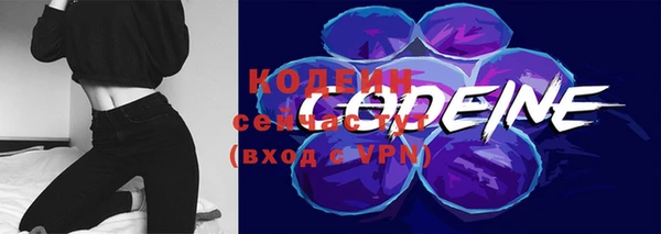 скорость Дмитриев