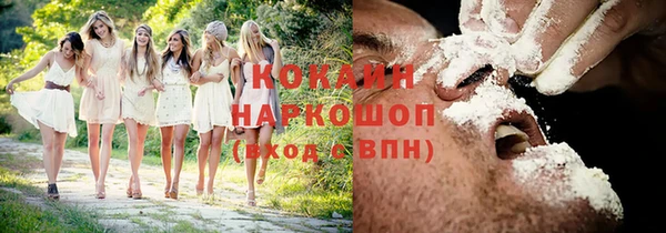 шишки Михайлов