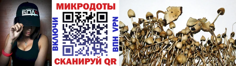 Псилоцибиновые грибы ЛСД Карачаевск