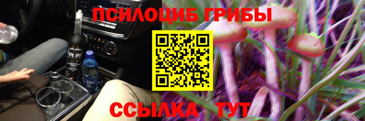 Галлюциногенные грибы GOLDEN TEACHER Карачаевск