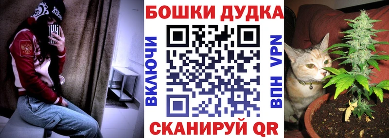 Бошки марихуана OG Kush магазин продажи Карачаевск